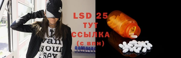ПСИЛОЦИБИНОВЫЕ ГРИБЫ Бородино