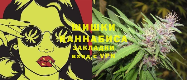 Альфа ПВП Володарск