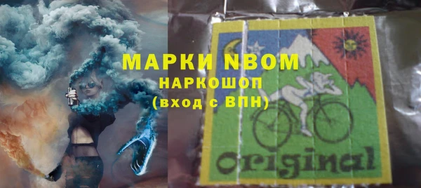 ПСИЛОЦИБИНОВЫЕ ГРИБЫ Бородино