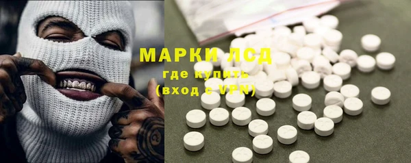ПСИЛОЦИБИНОВЫЕ ГРИБЫ Бородино