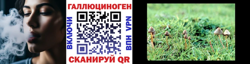 цена наркотик  Северск  Псилоцибиновые грибы Cubensis 